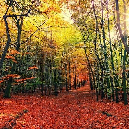 B&B Drenthe Westerbork Zewnętrze zdjęcie
