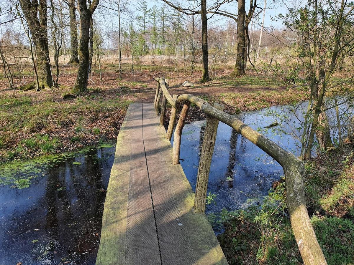B&B Drenthe Westerbork Zewnętrze zdjęcie
